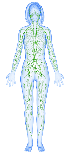 7 Ways to Improve Lymphatic Health in Raleigh