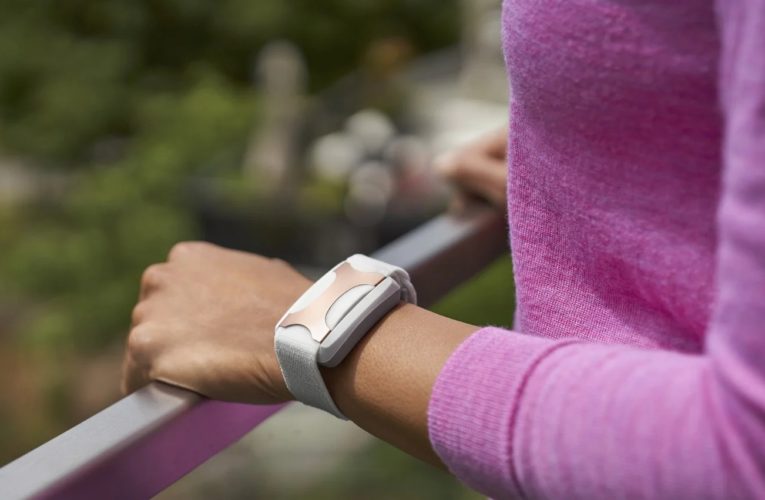 Raleigh: Can a Wearable Device Reduce Stress?